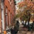 Trump Administration Declares Timber Emergency