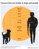 Dogs And Their People: Companions In Cancer Research