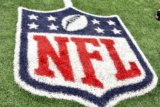 NFL Cancels Diversity Coaching Program, Promises 2026 Return